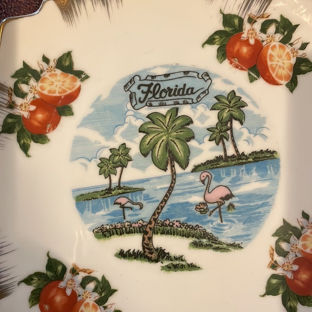 Vintage Florida souvenir plate. Gold trim, convenient hanging string. - Picture 2 of 4